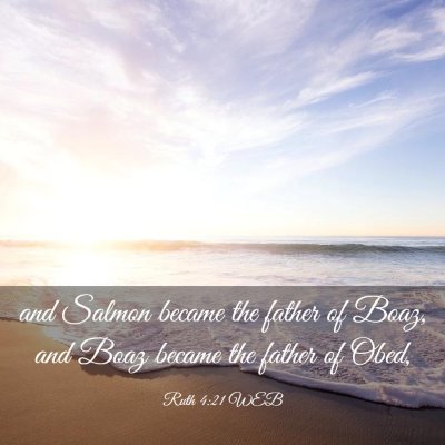 Picture 03 - Ruth 4:21 WEB - and Salmon became the father of Boaz, and Boaz - Bible Verse Picture