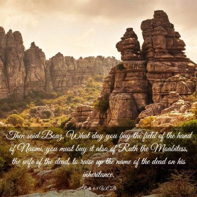 Picture 03 - Ruth 4:5 WEB - Then said Boaz, What day you buy the field of the - Bible Verse Picture