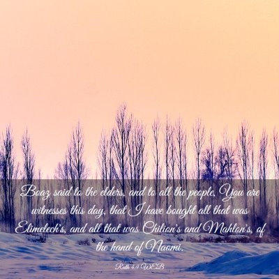 Picture 03 - Ruth 4:9 WEB - Boaz said to the elders, and to all the people, - Bible Verse Picture
