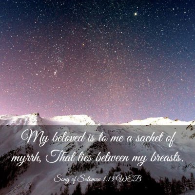 Picture 03 - Song of Solomon 1:13 WEB - My beloved is to me a sachet of myrrh, That lies - Bible Verse Picture