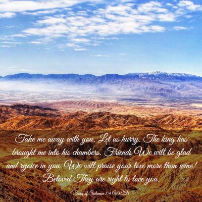 Picture 03 - Song of Solomon 1:4 WEB - Take me away with you. Let us hurry. The king has - Bible Verse Picture