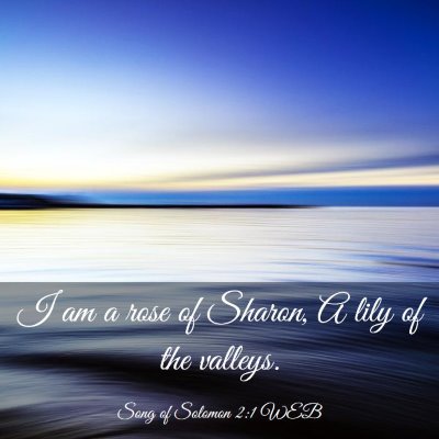 Picture 03 - Song of Solomon 2:1 WEB - I am a rose of Sharon, A lily of the - Bible Verse Picture
