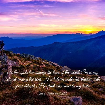 Picture 03 - Song of Solomon 2:3 WEB - As the apple tree among the trees of the wood, So - Bible Verse Picture