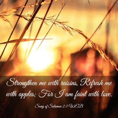 Picture 03 - Song of Solomon 2:5 WEB - Strengthen me with raisins, Refresh me with - Bible Verse Picture