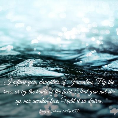 Picture 03 - Song of Solomon 2:7 WEB - I adjure you, daughters of Jerusalem, By the - Bible Verse Picture