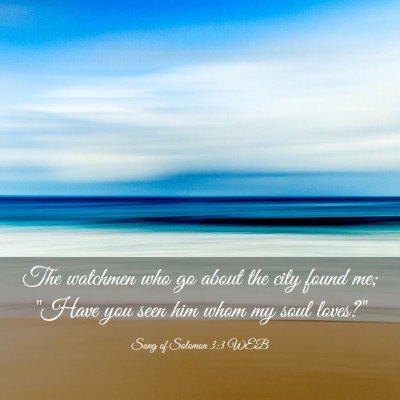 Picture 03 - Song of Solomon 3:3 WEB - The watchmen who go about the city found me; - Bible Verse Picture
