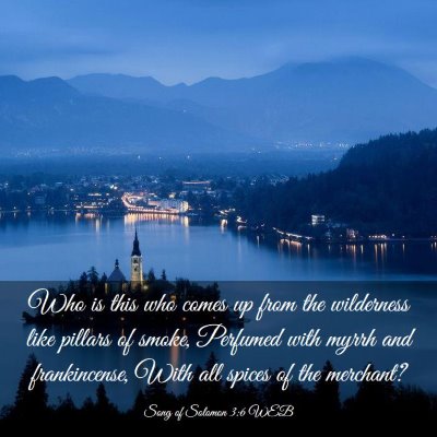 Picture 03 - Song of Solomon 3:6 WEB - Who is this who comes up from the wilderness like - Bible Verse Picture
