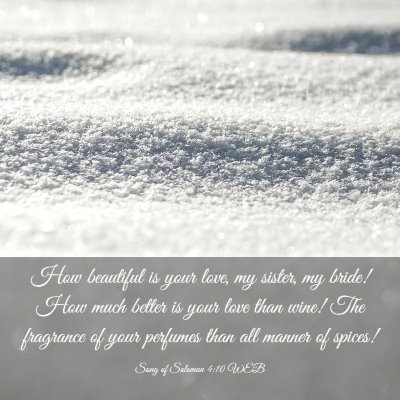 Picture 03 - Song of Solomon 4:10 WEB - How beautiful is your love, my sister, my bride! - Bible Verse Picture