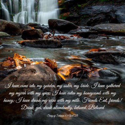 Picture 03 - Song of Solomon 5:1 WEB - I have come into my garden, my sister, my bride. - Bible Verse Picture