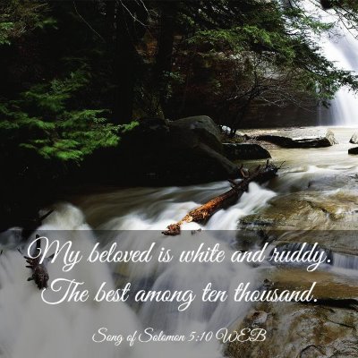 Picture 03 - Song of Solomon 5:10 WEB - My beloved is white and ruddy. The best among ten - Bible Verse Picture