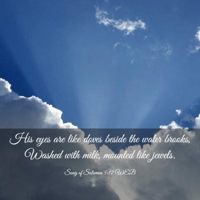 Picture 03 - Song of Solomon 5:12 WEB - His eyes are like doves beside the water brooks, - Bible Verse Picture