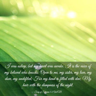 Picture 03 - Song of Solomon 5:2 WEB - I was asleep, but my heart was awake. It is the - Bible Verse Picture