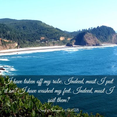 Picture 03 - Song of Solomon 5:3 WEB - I have taken off my robe. Indeed, must I put it - Bible Verse Picture