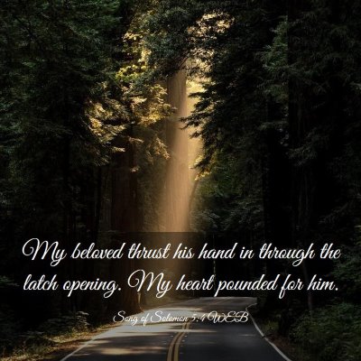 Picture 03 - Song of Solomon 5:4 WEB - My beloved thrust his hand in through the latch - Bible Verse Picture