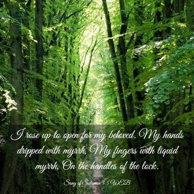 Picture 03 - Song of Solomon 5:5 WEB - I rose up to open for my beloved. My hands - Bible Verse Picture
