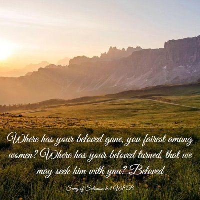 Picture 03 - Song of Solomon 6:1 WEB - Where has your beloved gone, you fairest among - Bible Verse Picture