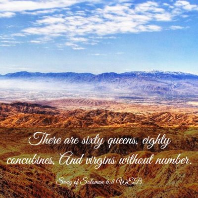 Picture 03 - Song of Solomon 6:8 WEB - There are sixty queens, eighty concubines, And - Bible Verse Picture