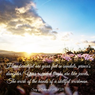 Picture 03 - Song of Solomon 7:1 WEB - How beautiful are your feet in sandals, prince's - Bible Verse Picture
