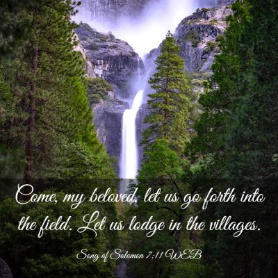 Picture 03 - Song of Solomon 7:11 WEB - Come, my beloved, let us go forth into the field. - Bible Verse Picture