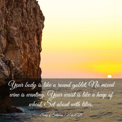 Picture 03 - Song of Solomon 7:2 WEB - Your body is like a round goblet, No mixed wine - Bible Verse Picture