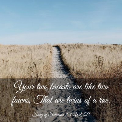Picture 03 - Song of Solomon 7:3 WEB - Your two breasts are like two fawns, That are - Bible Verse Picture