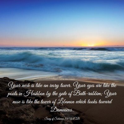 Picture 03 - Song of Solomon 7:4 WEB - Your neck is like an ivory tower. Your eyes are - Bible Verse Picture