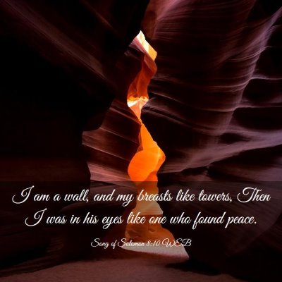 Picture 03 - Song of Solomon 8:10 WEB - I am a wall, and my breasts like towers, Then I - Bible Verse Picture
