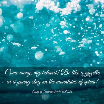 Picture 03 - Song of Solomon 8:14 WEB - Come away, my beloved! Be like a gazelle or a - Bible Verse Picture