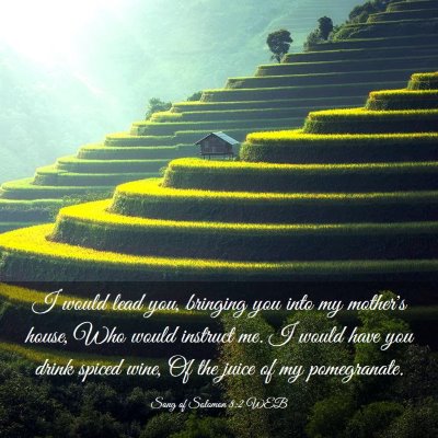 Picture 03 - Song of Solomon 8:2 WEB - I would lead you, bringing you into my mother's - Bible Verse Picture
