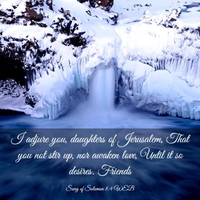 Picture 03 - Song of Solomon 8:4 WEB - I adjure you, daughters of Jerusalem, That you - Bible Verse Picture