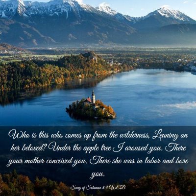 Picture 03 - Song of Solomon 8:5 WEB - Who is this who comes up from the wilderness, - Bible Verse Picture