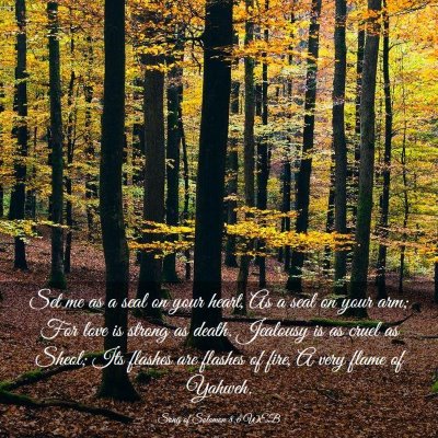 Picture 03 - Song of Solomon 8:6 WEB - Set me as a seal on your heart, As a seal on your - Bible Verse Picture