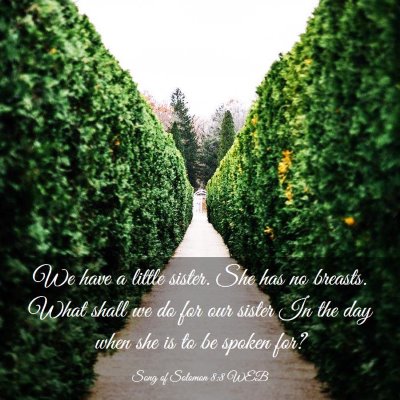 Picture 03 - Song of Solomon 8:8 WEB - We have a little sister. She has no breasts. What - Bible Verse Picture