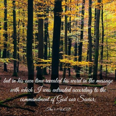 Picture 03 - Titus 1:3 WEB - but in his own time revealed his word in the - Bible Verse Picture