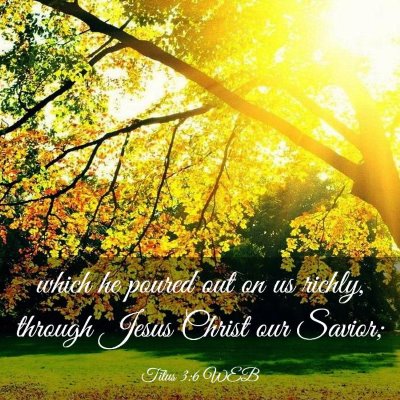 Picture 03 - Titus 3:6 WEB - which he poured out on us richly, through Jesus - Bible Verse Picture