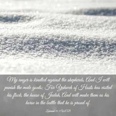 Picture 03 - Zechariah 10:3 WEB - My anger is kindled against the shepherds, And I - Bible Verse Picture