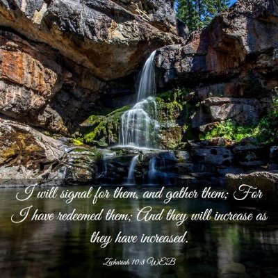 Picture 03 - Zechariah 10:8 WEB - I will signal for them, and gather them; For I - Bible Verse Picture