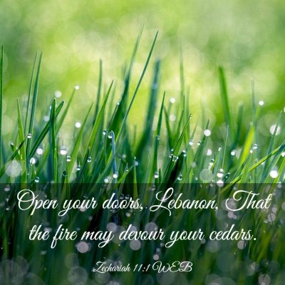 Picture 03 - Zechariah 11:1 WEB - Open your doors, Lebanon, That the fire may - Bible Verse Picture