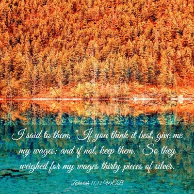 Picture 03 - Zechariah 11:12 WEB - I said to them, 