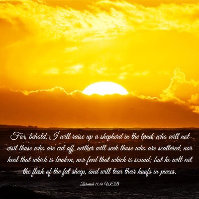 Picture 03 - Zechariah 11:16 WEB - For, behold, I will raise up a shepherd in the - Bible Verse Picture