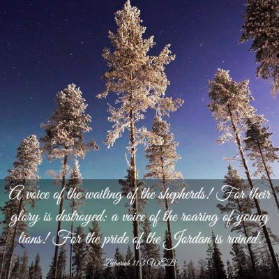 Picture 03 - Zechariah 11:3 WEB - A voice of the wailing of the shepherds! For - Bible Verse Picture