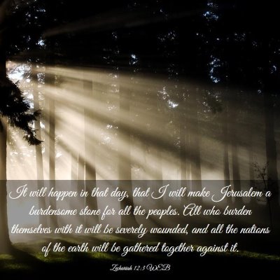 Picture 03 - Zechariah 12:3 WEB - It will happen in that day, that I will make - Bible Verse Picture