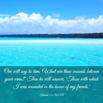 Picture 03 - Zechariah 13:6 WEB - One will say to him, 'What are these wounds - Bible Verse Picture