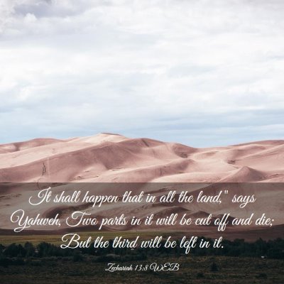 Picture 03 - Zechariah 13:8 WEB - It shall happen that in all the land,