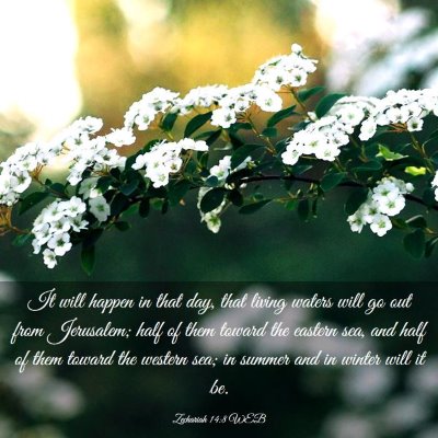 Picture 03 - Zechariah 14:8 WEB - It will happen in that day, that living waters - Bible Verse Picture