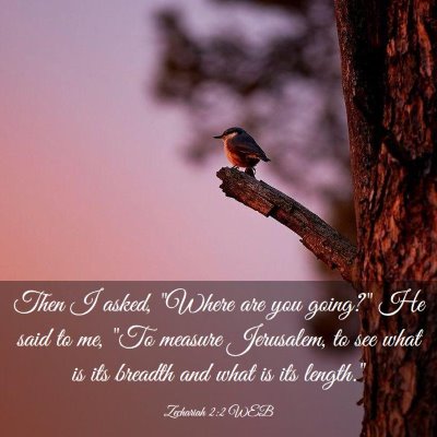 Picture 03 - Zechariah 2:2 WEB - Then I asked, 