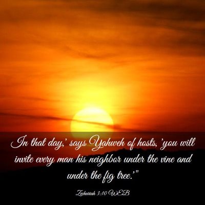 Picture 03 - Zechariah 3:10 WEB - In that day,' says Yahweh of hosts, 'you will - Bible Verse Picture