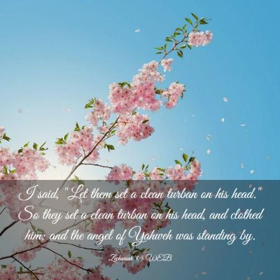 Picture 03 - Zechariah 3:5 WEB - I said, 