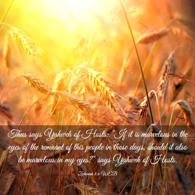 Picture 03 - Zechariah 8:6 WEB - Thus says Yahweh of Hosts: 