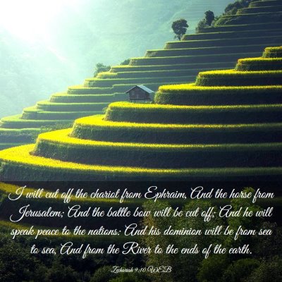 Picture 03 - Zechariah 9:10 WEB - I will cut off the chariot from Ephraim, And the - Bible Verse Picture